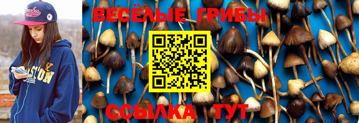 Псилоцибиновые грибы MAGIC MUSHROOMS  Галлюциногенные грибы мухоморы  Приморско-Ахтарск  Вход с VPN 